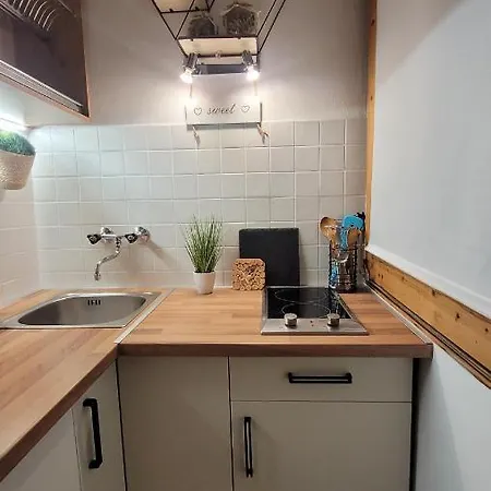 Apartment Tudor