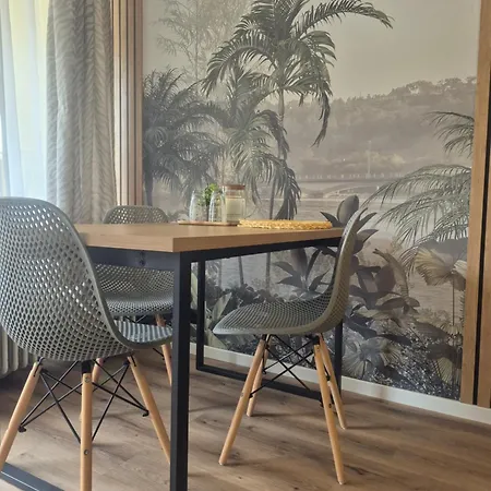 Apartmán Tudor *