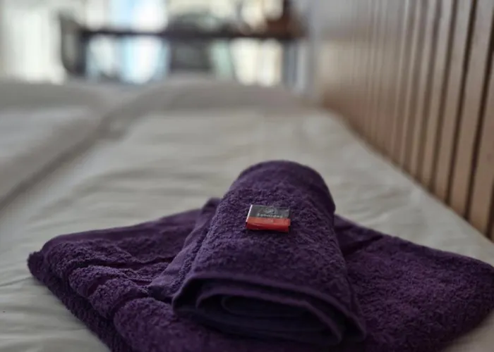 Διαμέρισμα Tudor *